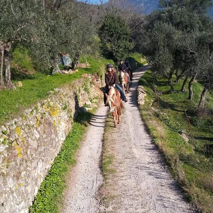 Villamorosa Calci Esterno foto